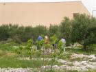 SANY0037