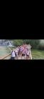 WhatsApp Image 2024-04-19 At 09.22.40 (4)
