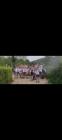 WhatsApp Image 2024-04-19 At 09.22.42