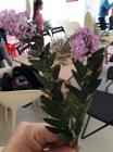 IMG_20190409_111130