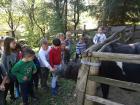 IMG_20181004_105143