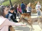 IMG-03ccc4f40350e8a9ecf65b9887d9bc18-V