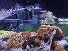 IMG_20231107_092833