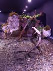 IMG_20231107_095856