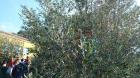 Thumbnail (3)