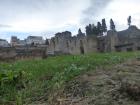 Torre Del Greco Prosinac 2014 030