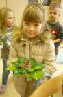 kola 014