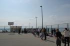 IMG_0460 (800x533)