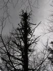Luka Arih_6_razed2