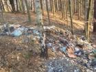 Nives Stimac_5_razed Gerovo Zagaena Priroda 2