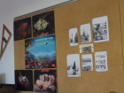 Zavicajnanastava_rivarela_novigrad_cittanova_skola_scoula_2017_059