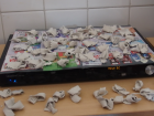 Zavicajnanastava_rivarela_novigrad_cittanova_skola_scoula_2017_084