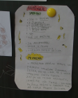 Zavicajnanastava_rivarela_novigrad_cittanova_skola_scoula_2017_093