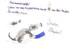 4.A Razred_Fran Oluji (10 Godina)