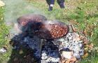 20211019_dani_kruha_i_zahvalnosti_rude_manja_vas_skola_dan_kruha_11