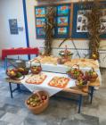 20211019_dani_kruha_i_zahvalnosti_rude_manja_vas_skola_dan_kruha_24