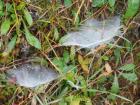 20211028_kestenijada_bozica_o_rude_samobor_razredna_08