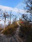 20211113_mali_eko_planinari_skola_nerzi_ostrc_rude_samobor_razredna_24