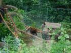 20200510_manja_vas_rude_podruNa_osnovna_kola_zoo_etnja_zagrebom_razredna_nastava_29