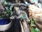 20200510_manja_vas_rude_podruNa_osnovna_kola_zoo_etnja_zagrebom_razredna_nastava_30
