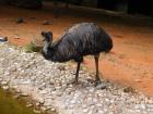 20200510_manja_vas_rude_podruNa_osnovna_kola_zoo_etnja_zagrebom_razredna_nastava_33