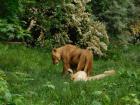 20200510_manja_vas_rude_podruNa_osnovna_kola_zoo_etnja_zagrebom_razredna_nastava_37