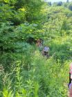 4. Planinarski Izlet-Cerinski VirIMG-20230613-WA0041