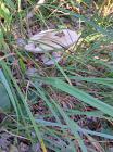 20231025_MaliEkoPlaninari_Rude_Otrc_Samobor_osnovna_skola_06