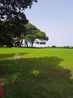 IMG-20240425-WA0024