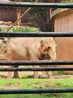 IMG-20240425-WA0040
