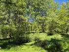 IMG-20240510-WA0022