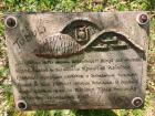 IMG-20240514-WA0031