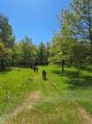 IMG-20240514-WA0056