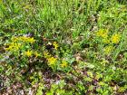 IMG-20240514-WA0058