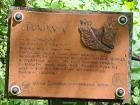 IMG-20240514-WA0038