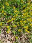 IMG-20240514-WA0051