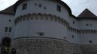 IMAG0194