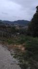 IMAG0213