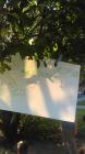 IMAG0145(1)