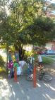 IMAG0146