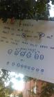 IMAG0150