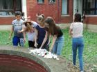 IMG_20180510_170324
