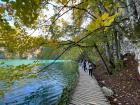 IMG-20211107-WA0002