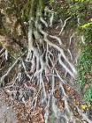 IMG-20211107-WA0004