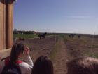IMG_20150422_095136