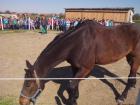 IMG_20150422_095456