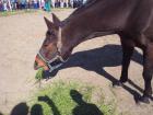 IMG_20150422_095601