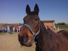 IMG_20150422_095611