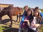 IMG_20150422_095802