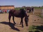 IMG_20150422_095943